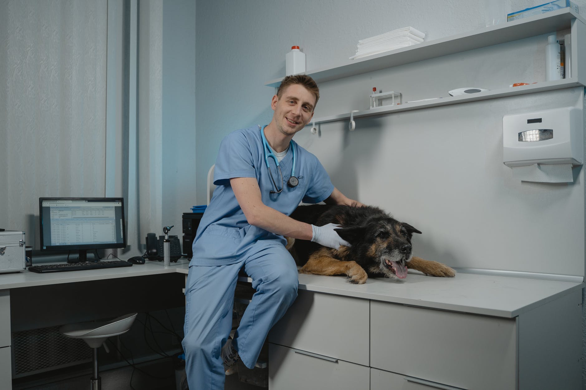 What Are the Different Veterinary Care